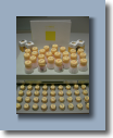 CIMG1255